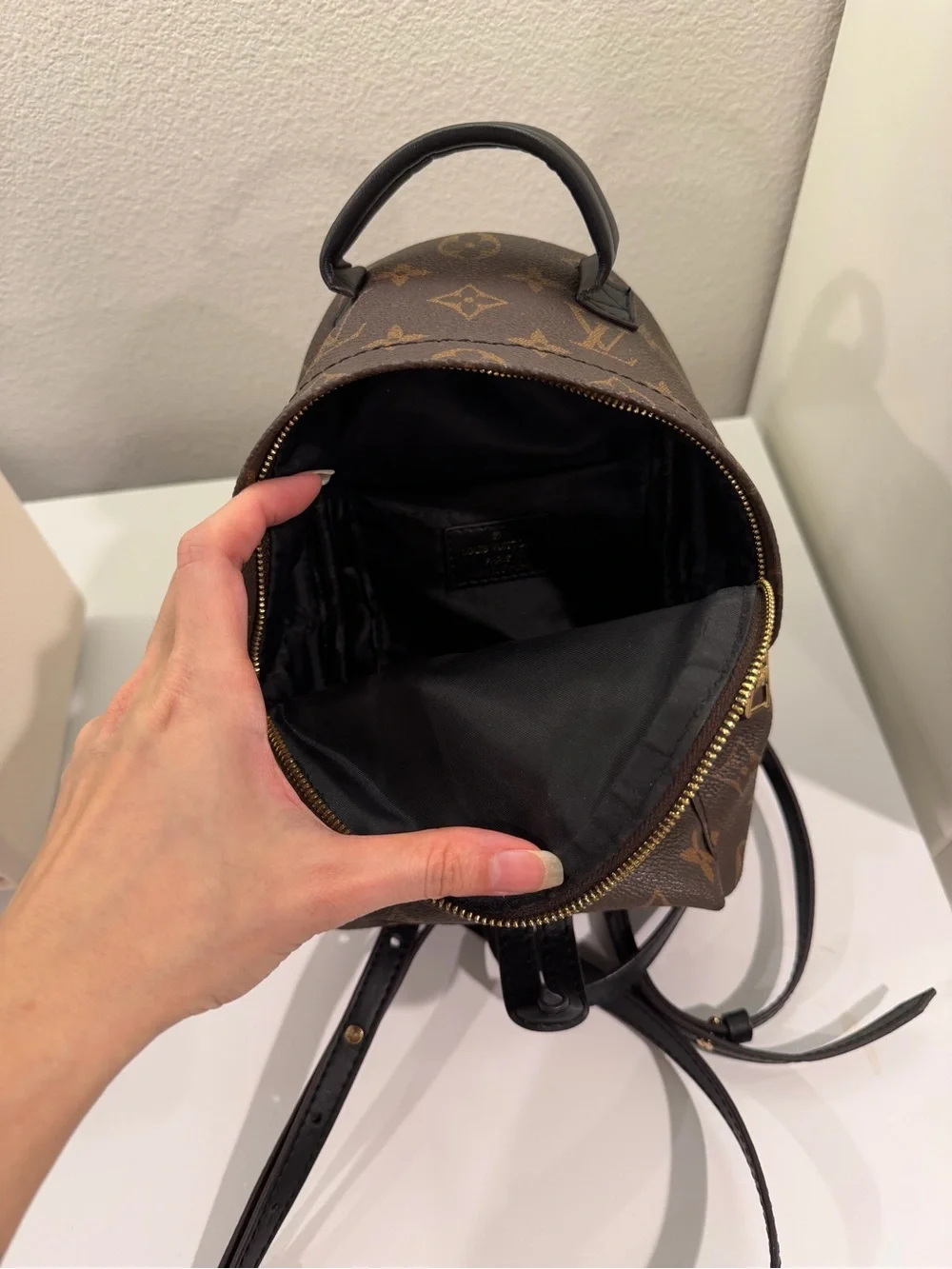 Louis Vuitton Monogram Mini palm Backpack